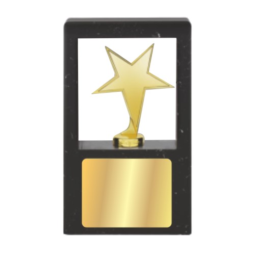 Star In Tray Wooden Award 