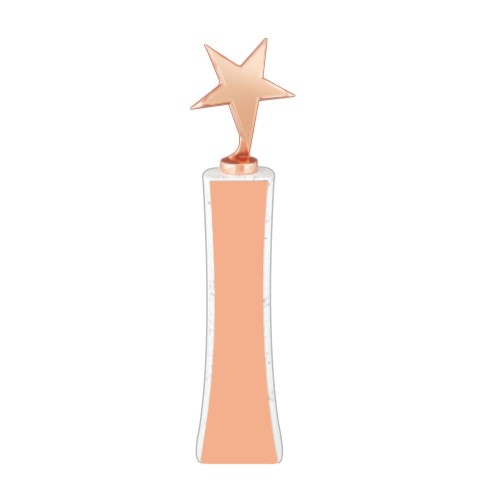 White Finish Rose Gold Star Wooden Award 