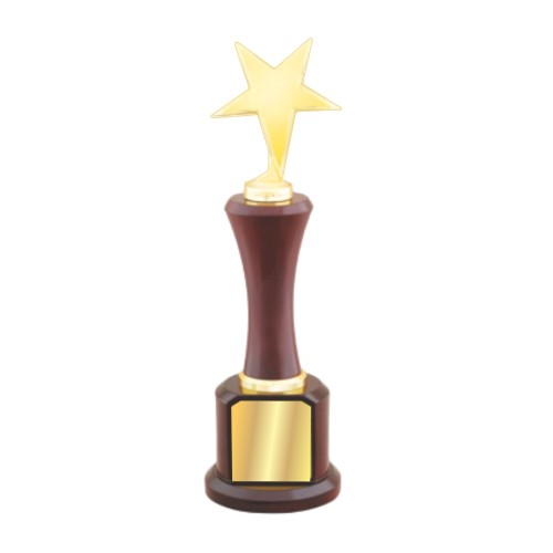 Wooden Trophy with Metal Star On Top 