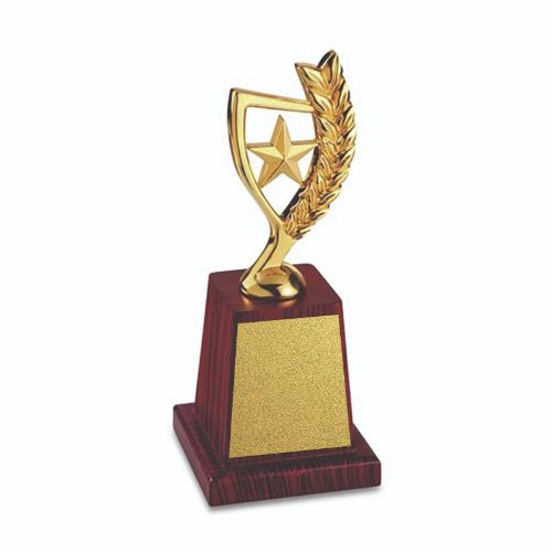 Laurel Star Metal Trophy