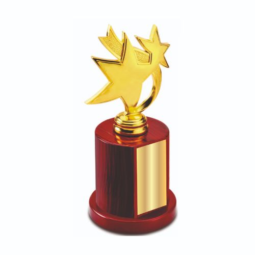 Exalted Star Metal Trophy