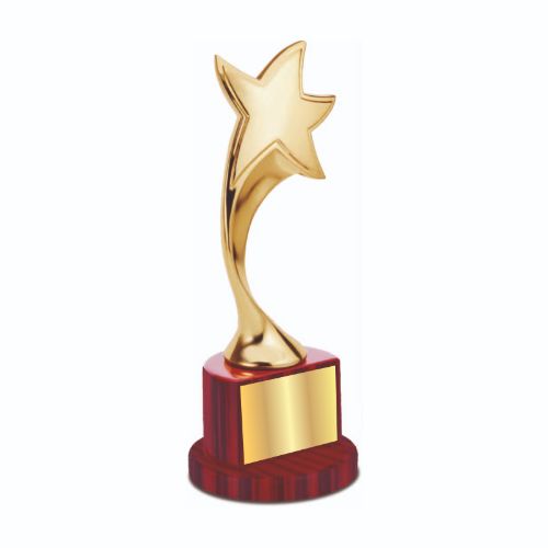 Steller Star Metal Trophy