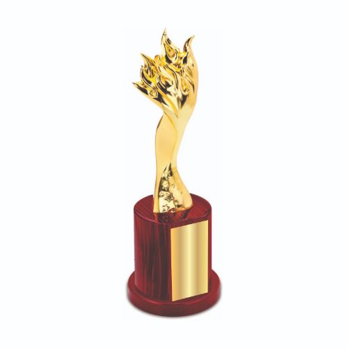 Flame Resin Trophy